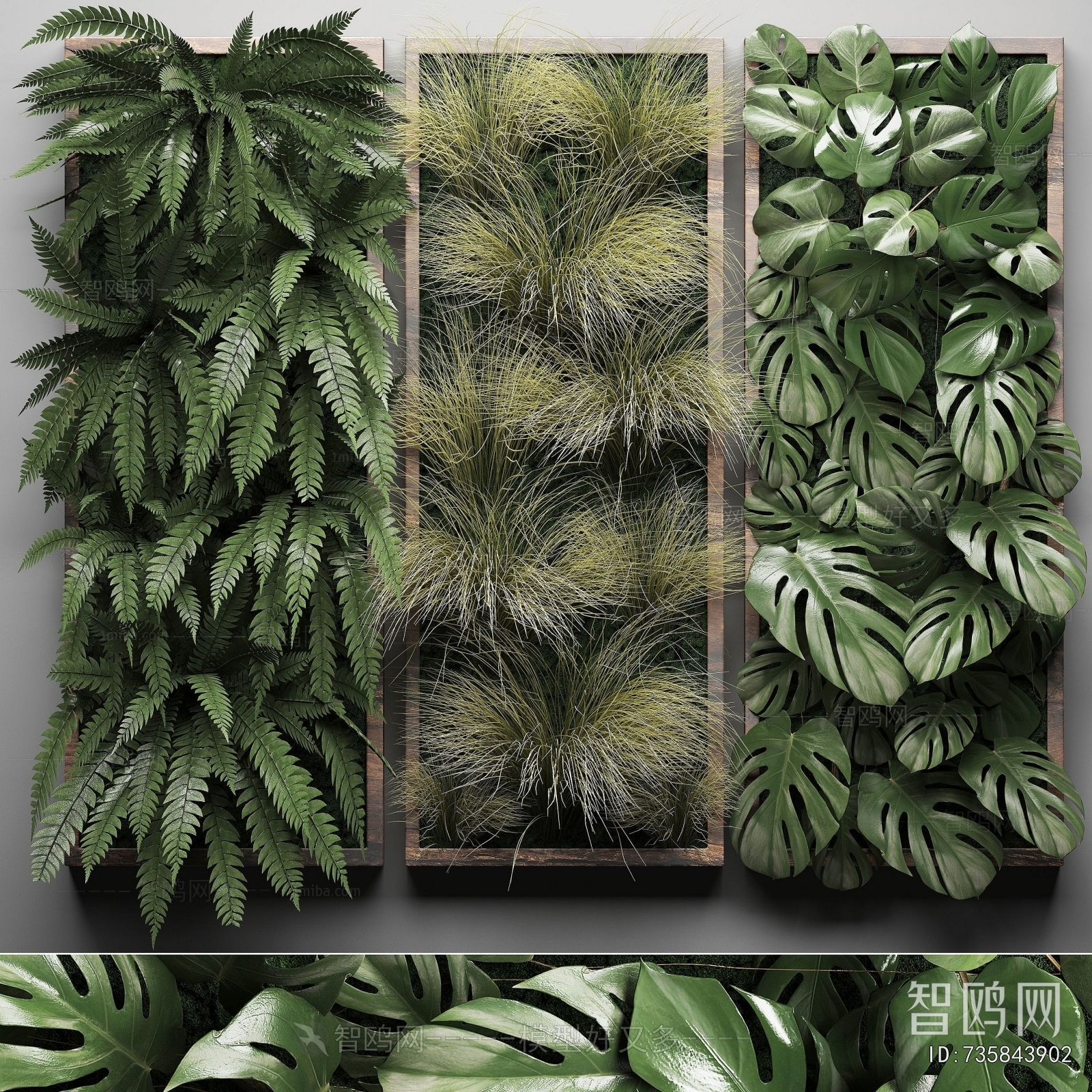 Modern Plant Wall
