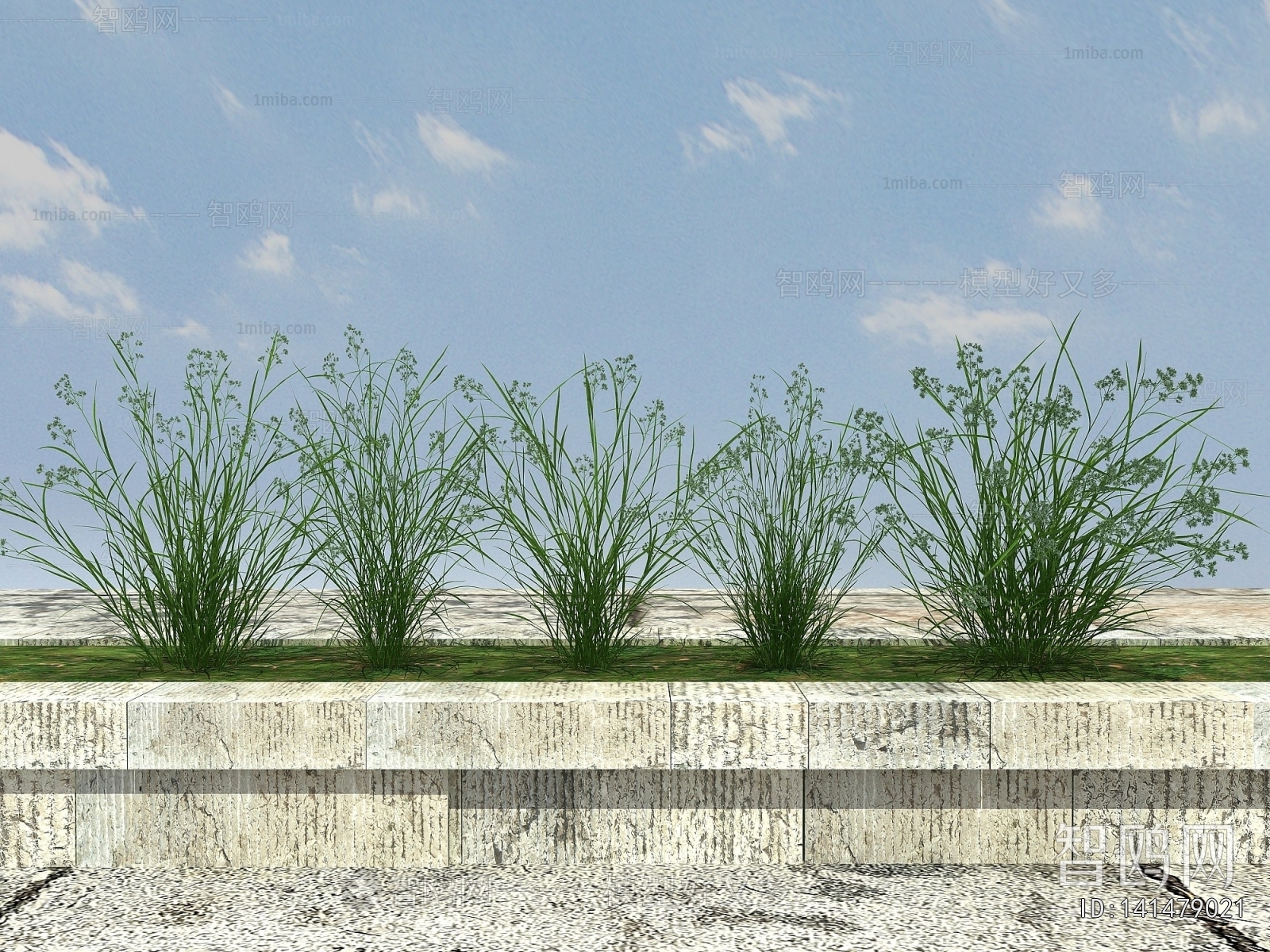 Modern Flowers And Grass