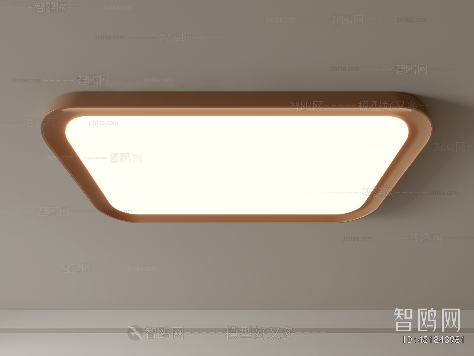 Modern Ceiling Ceiling Lamp