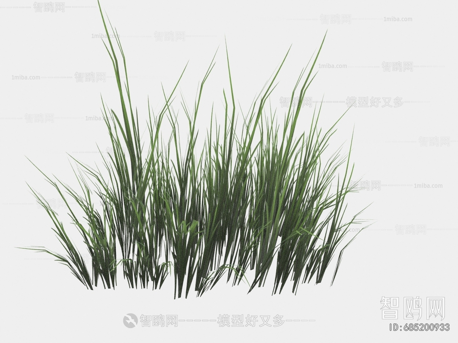 Modern The Grass