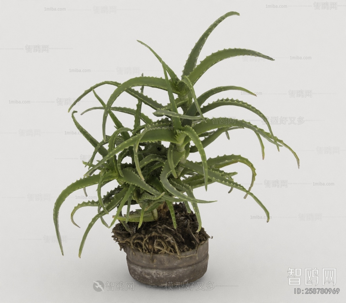 Modern Potted Green Plant