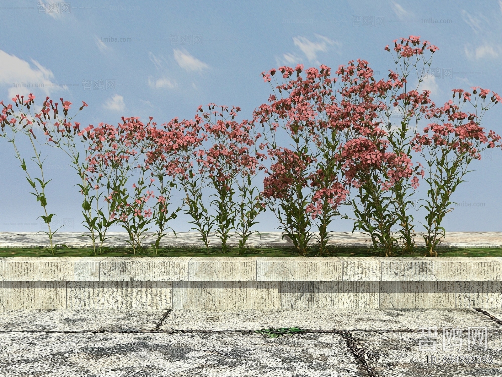 Modern Flowers And Grass