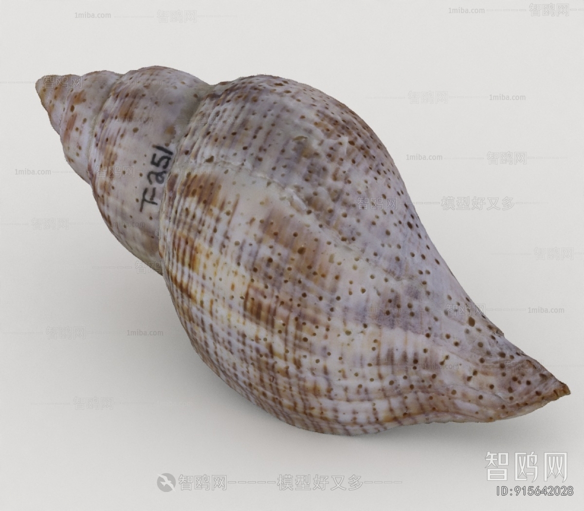 Modern Aquatic Animals