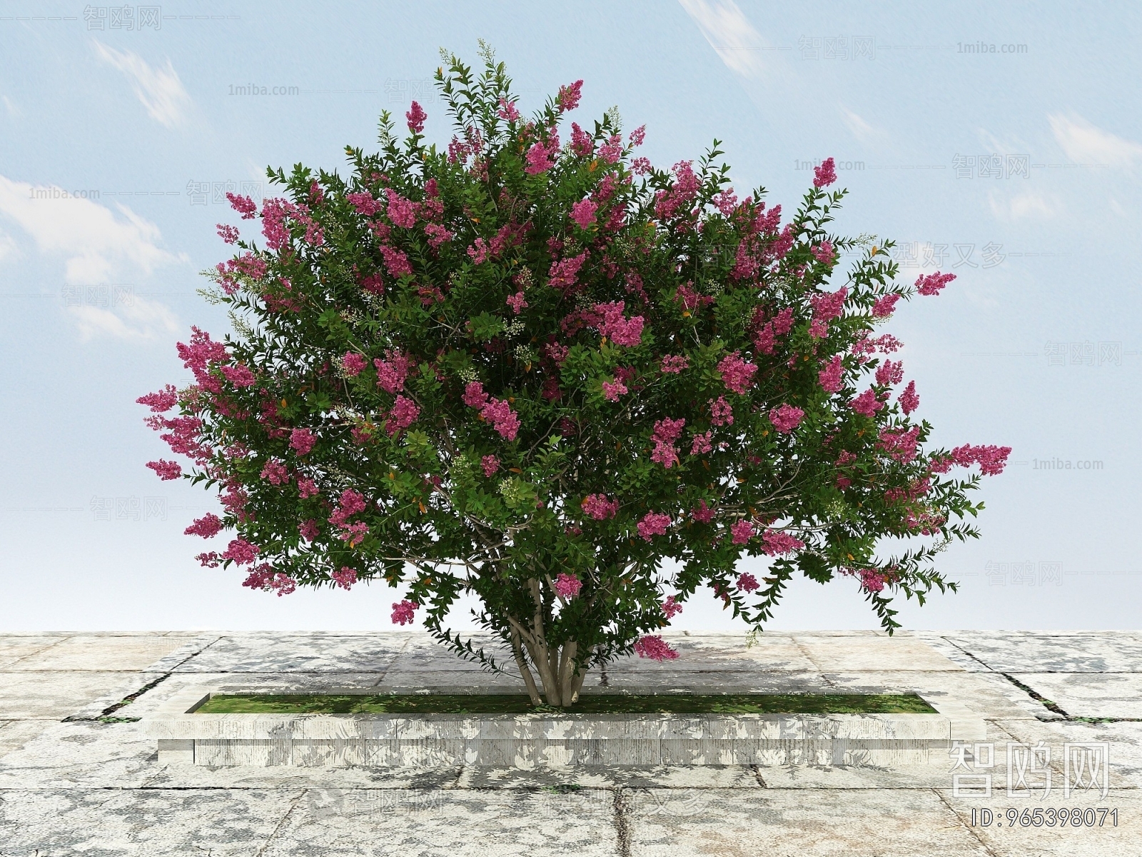 Modern Tree