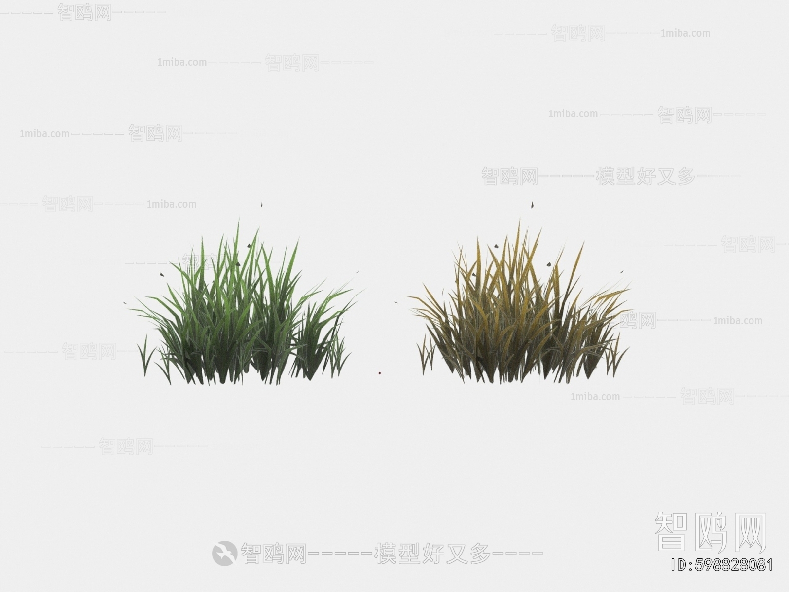 Modern The Grass