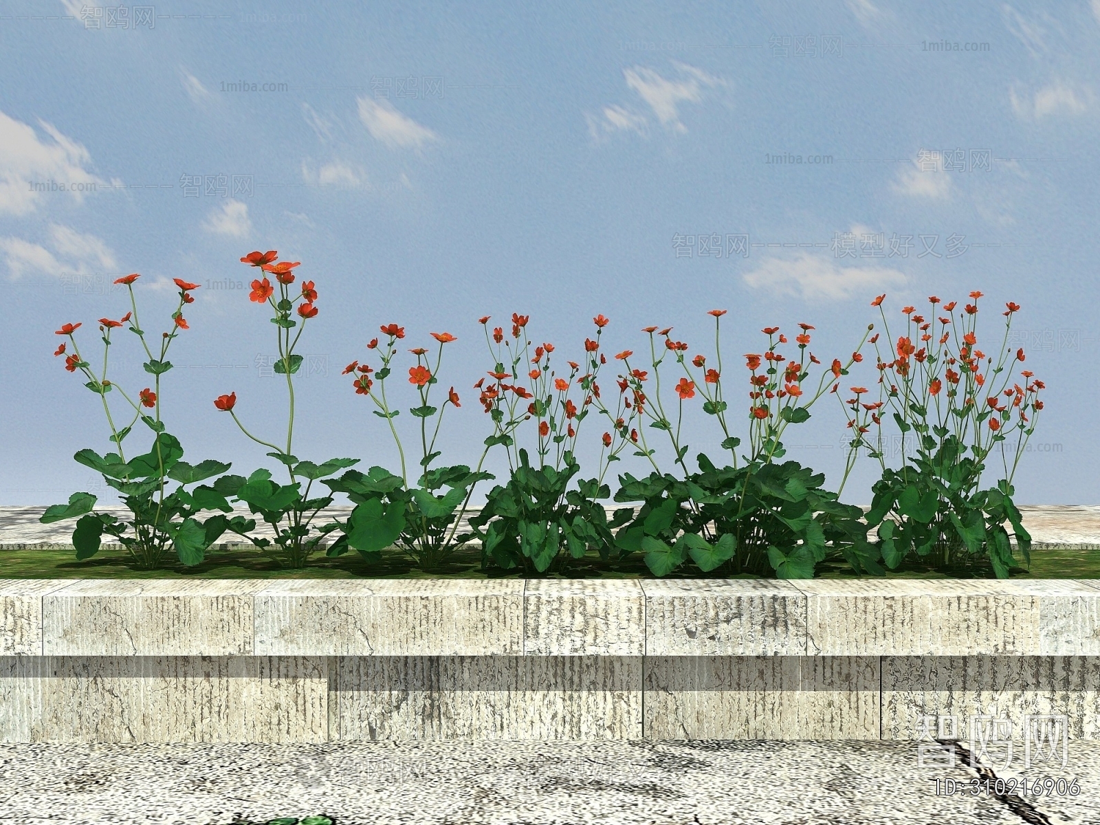 Modern Flowers And Grass