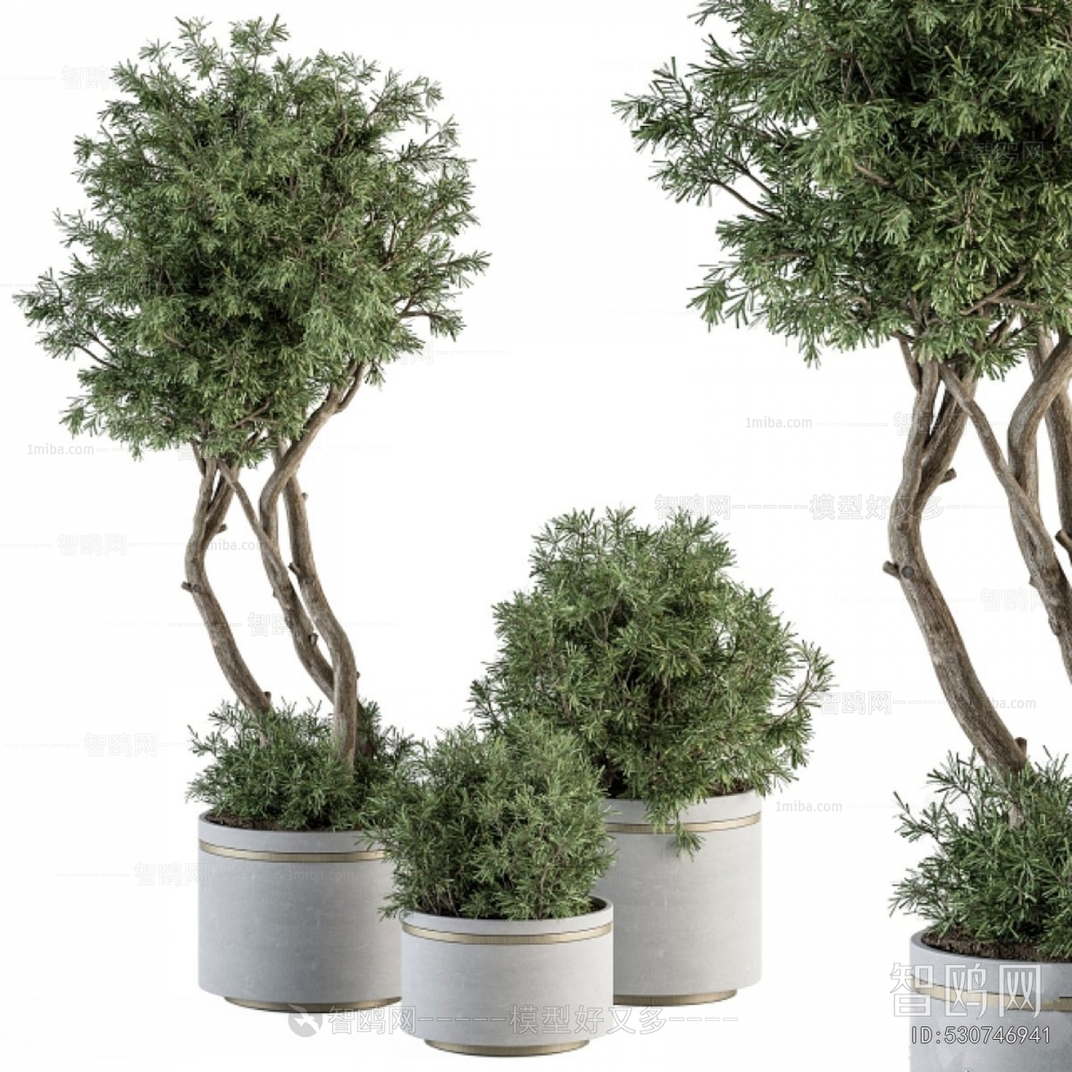 Modern Ground Green Plant Potted Plants