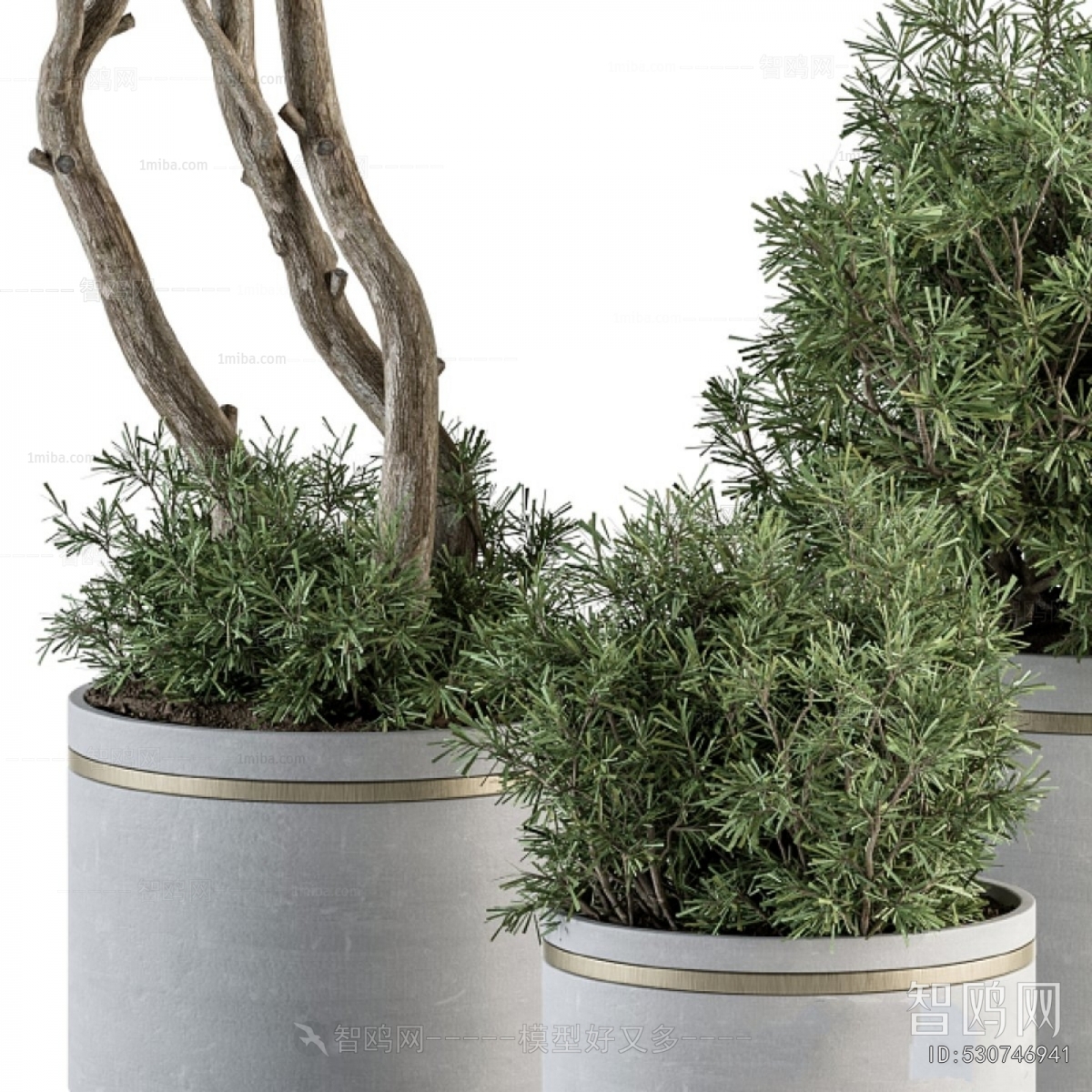 Modern Ground Green Plant Potted Plants