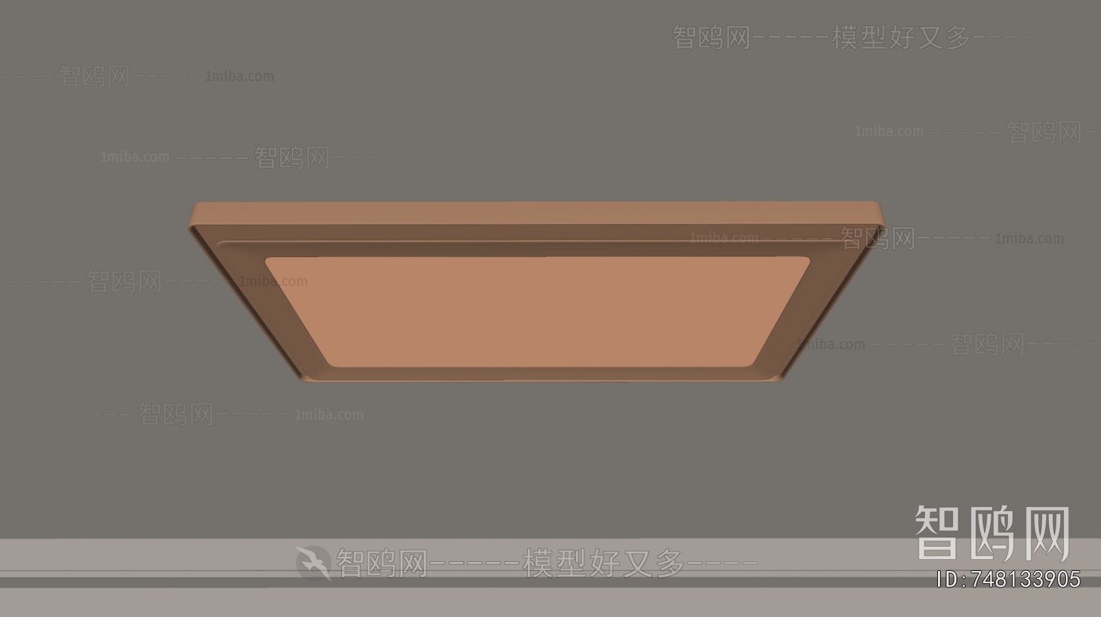 Modern Ceiling Ceiling Lamp