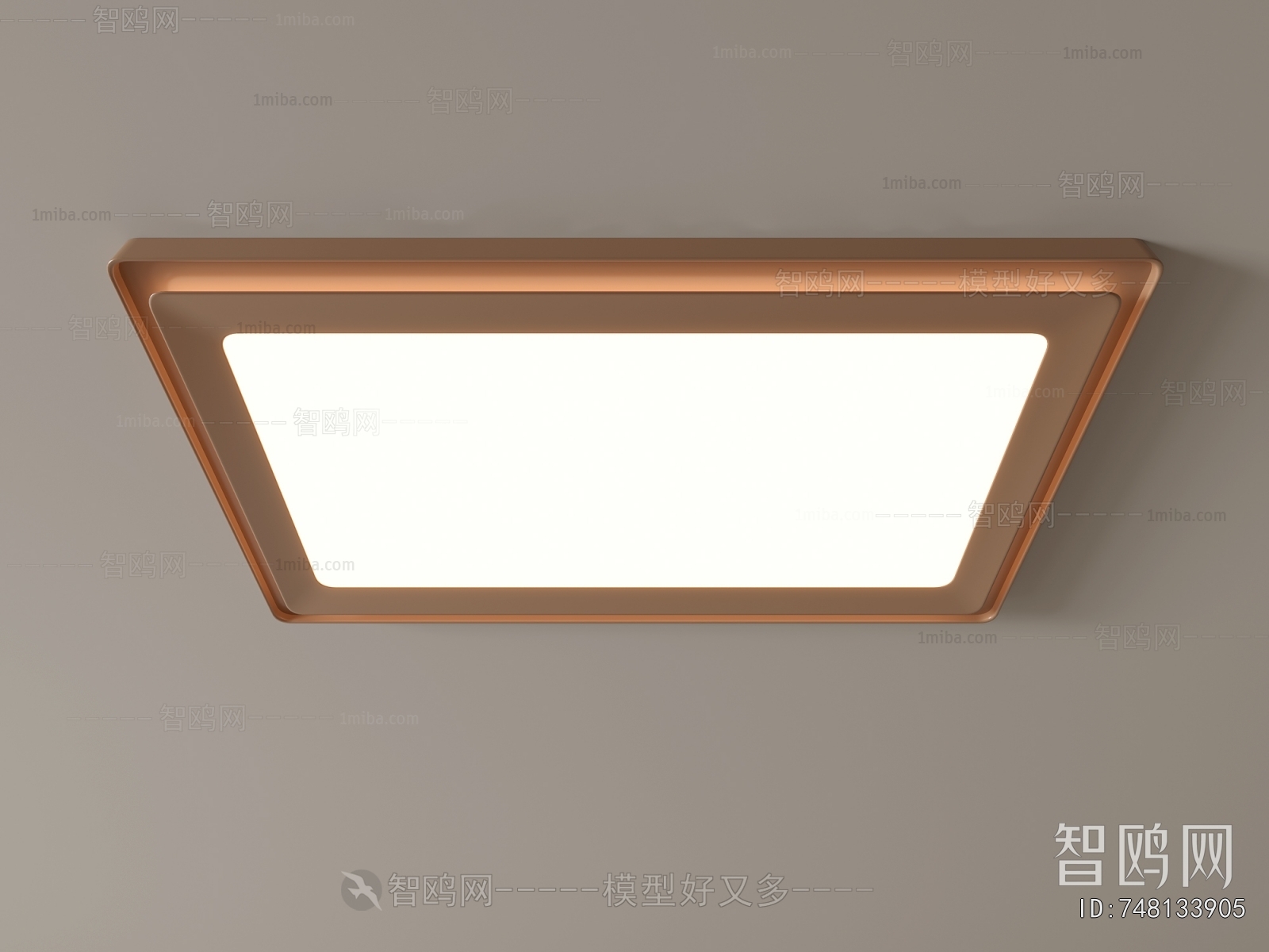 Modern Ceiling Ceiling Lamp