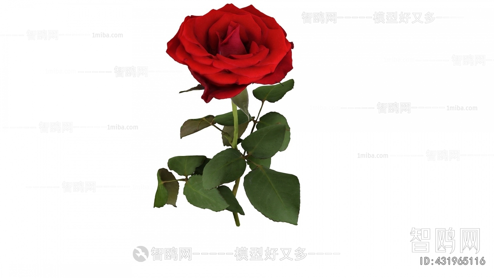 Modern Flowers And Grass