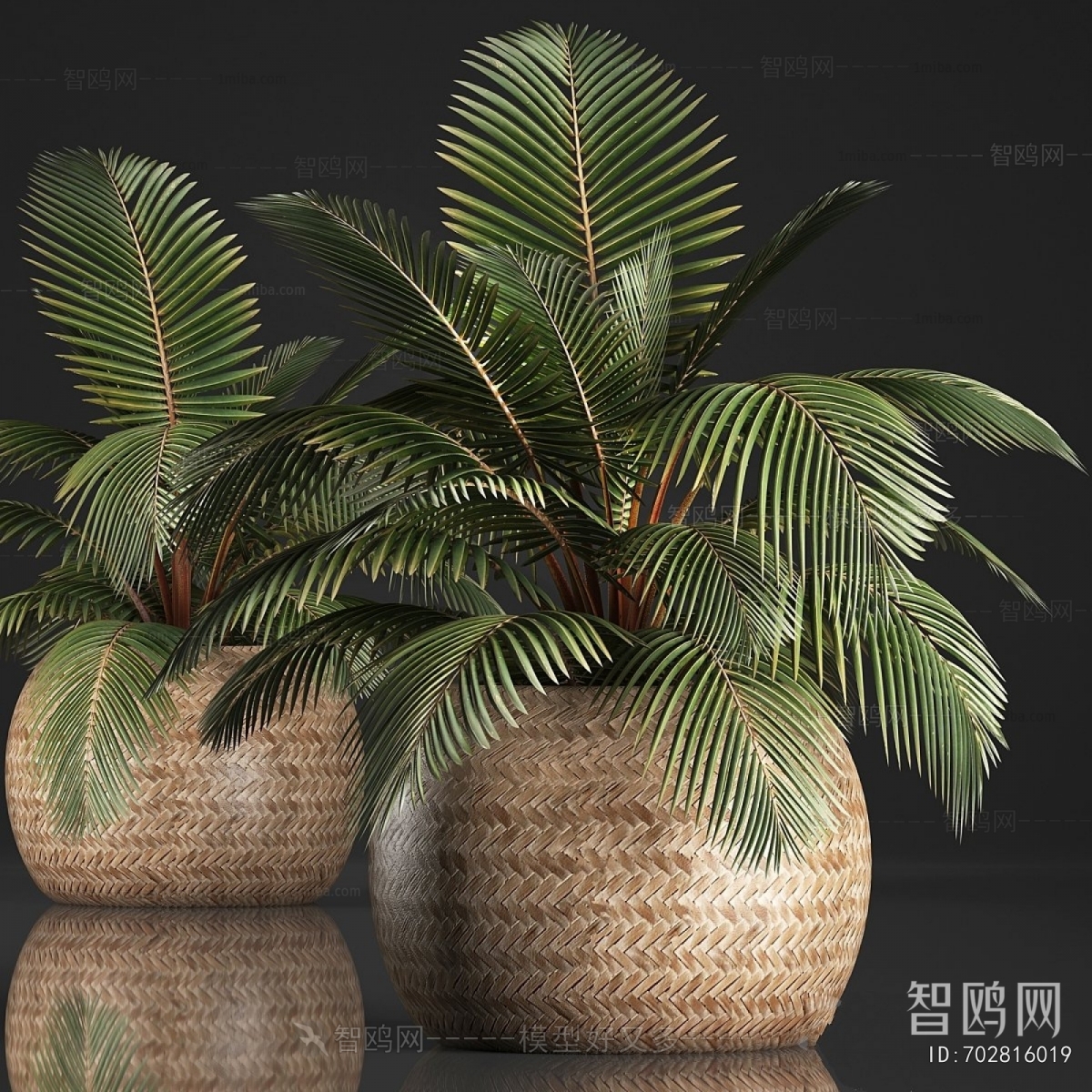 Modern Ground Green Plant Potted Plants