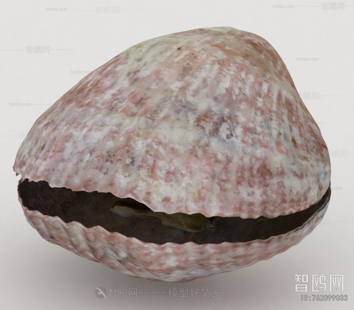 Modern Aquatic Animals