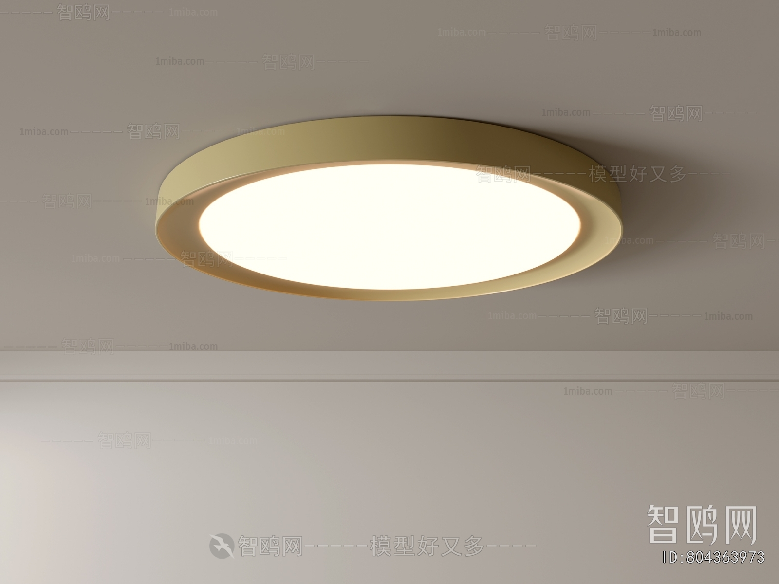 Modern Ceiling Ceiling Lamp