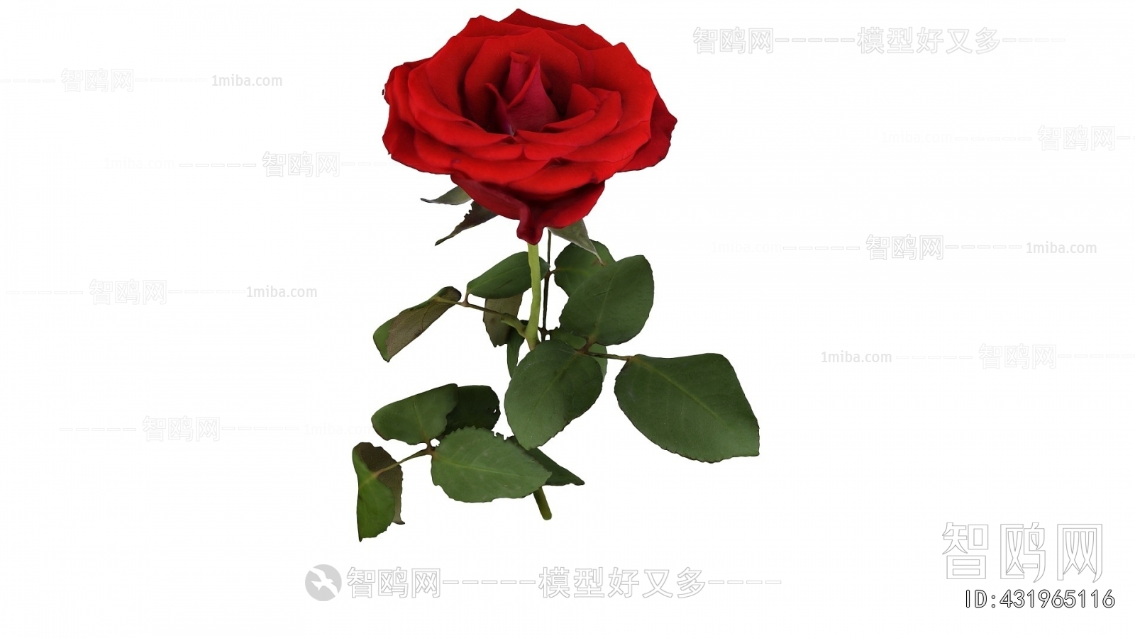 Modern Flowers And Grass