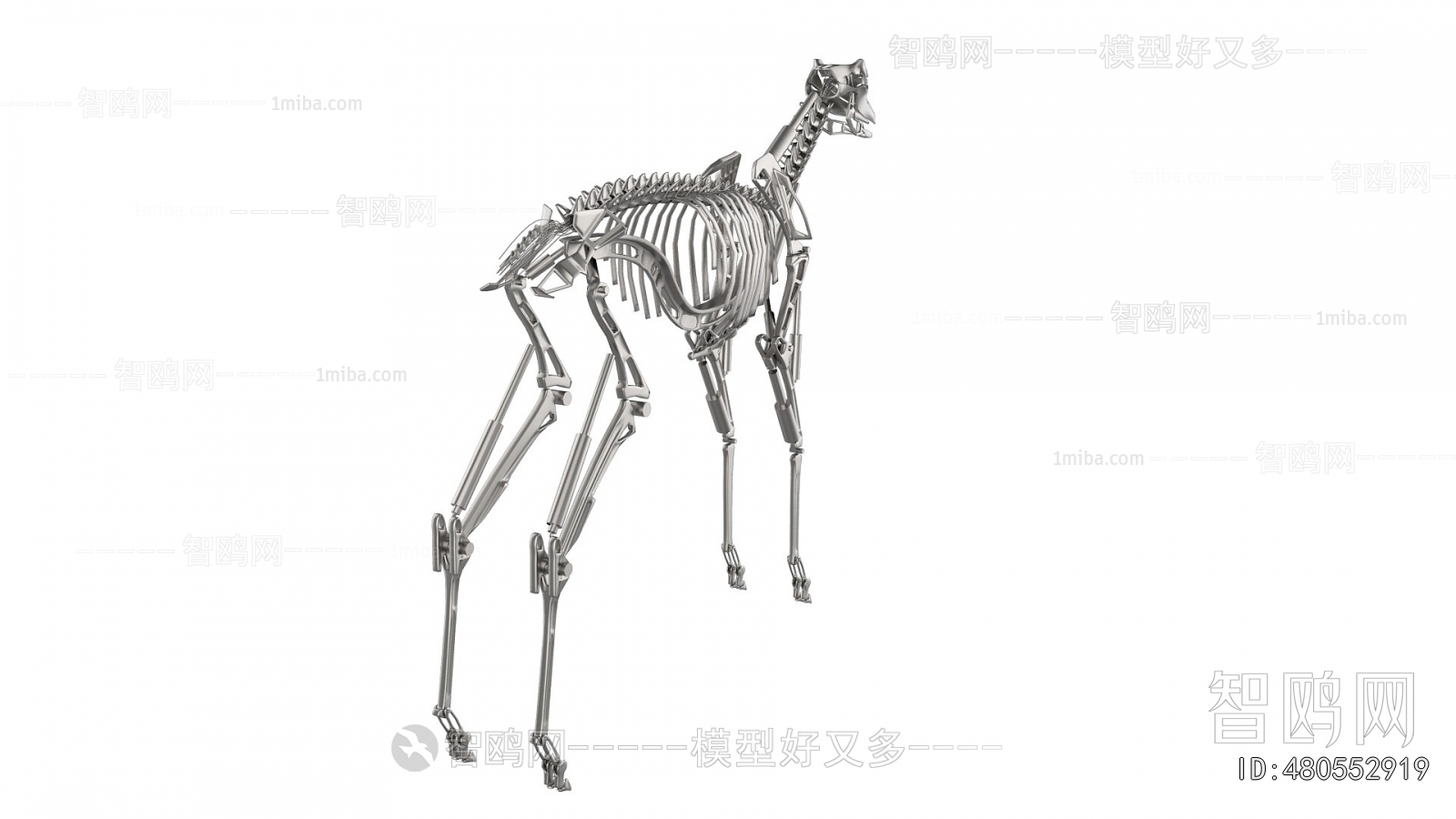 Modern Medical Equipment