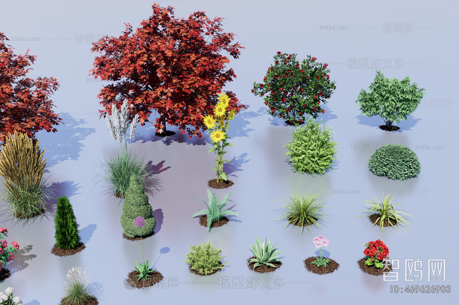 Modern Flowers And Grass