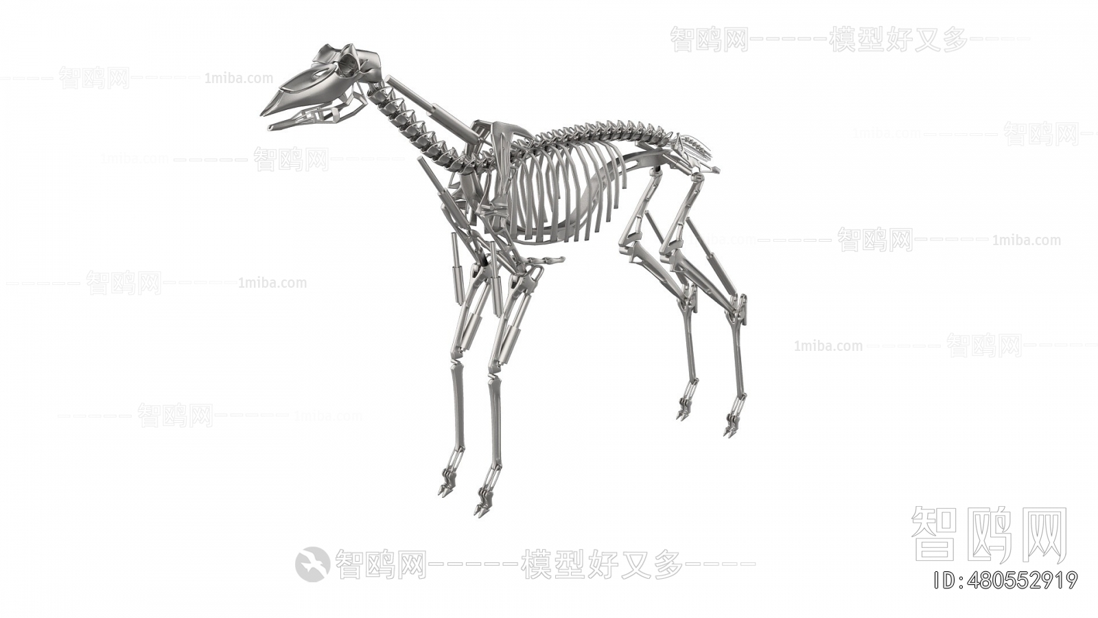 Modern Medical Equipment