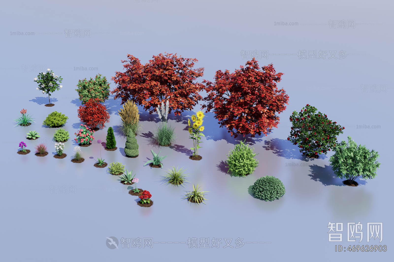 Modern Flowers And Grass