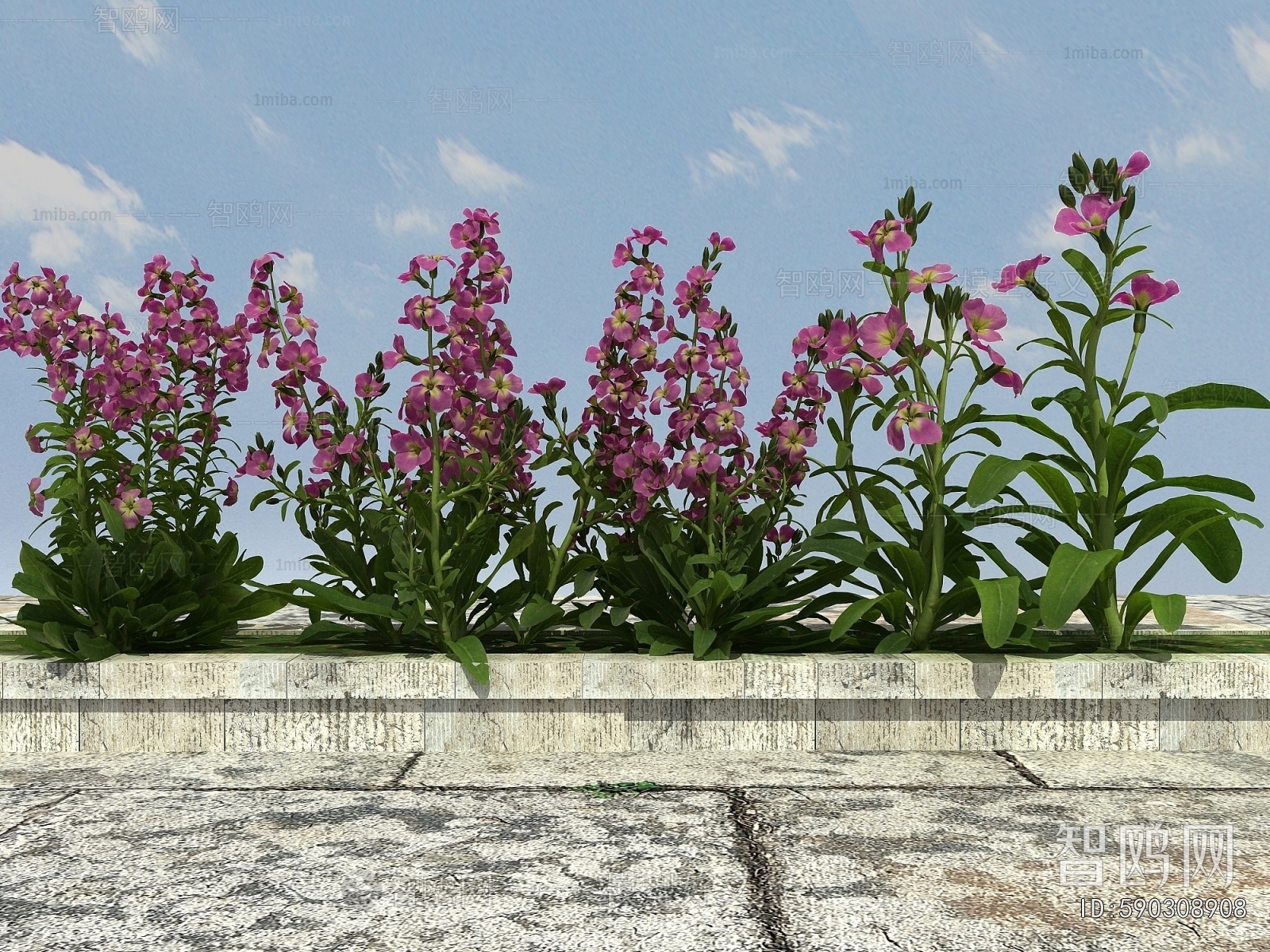 Modern Flowers And Grass