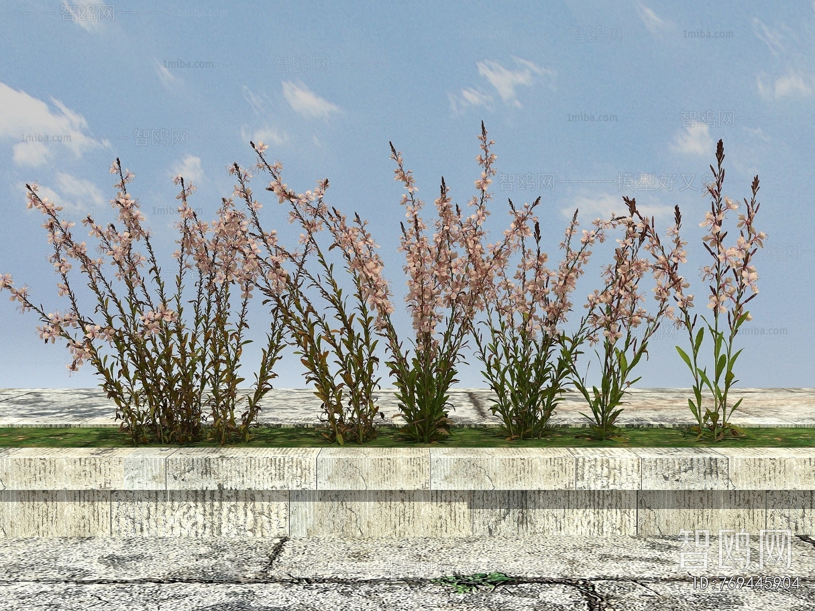 Modern Flowers And Grass