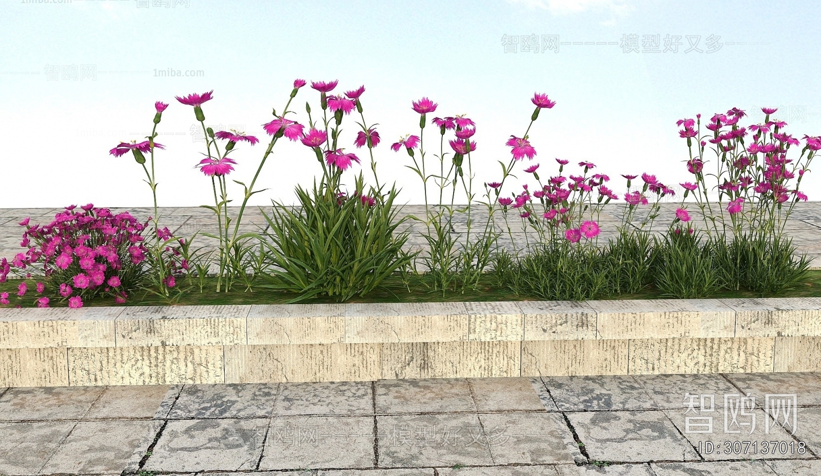 Modern Flowers And Grass