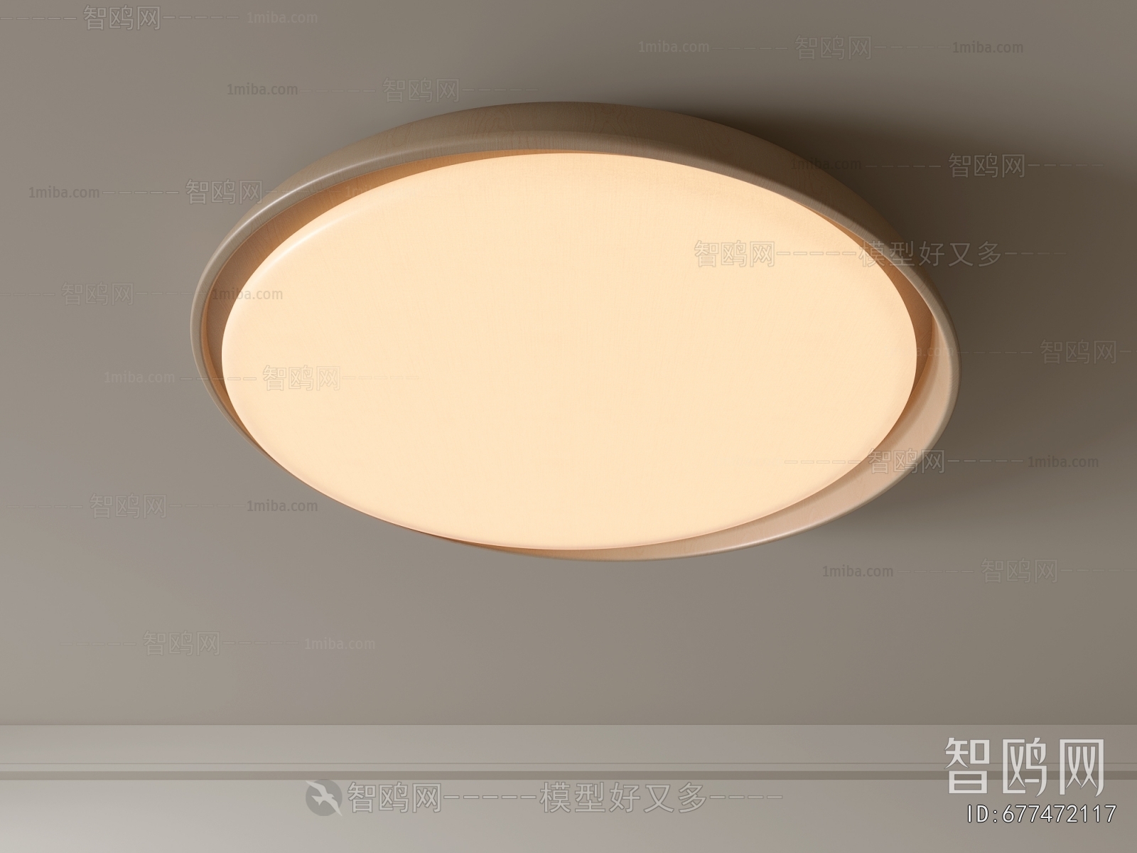 Modern Ceiling Ceiling Lamp