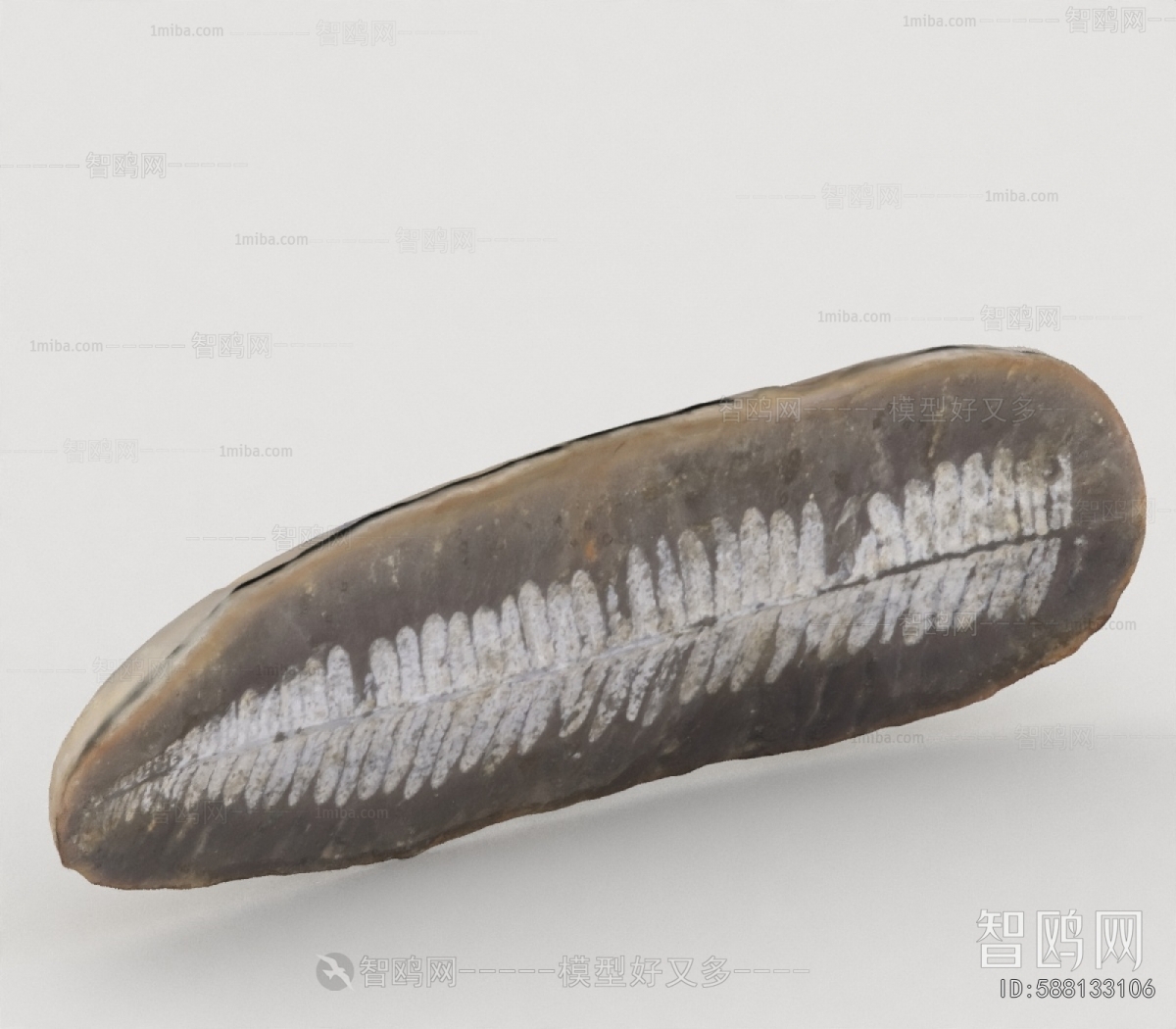 Modern Aquatic Animals