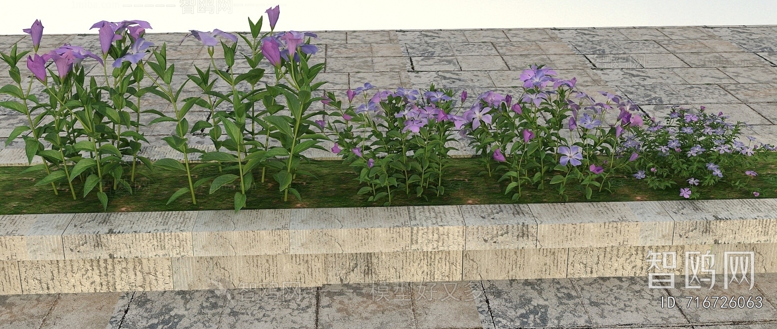 Modern Flowers And Grass