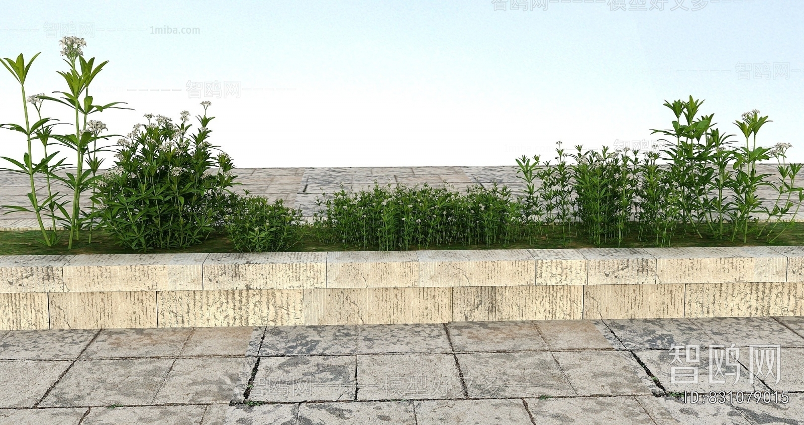 Modern Flowers And Grass