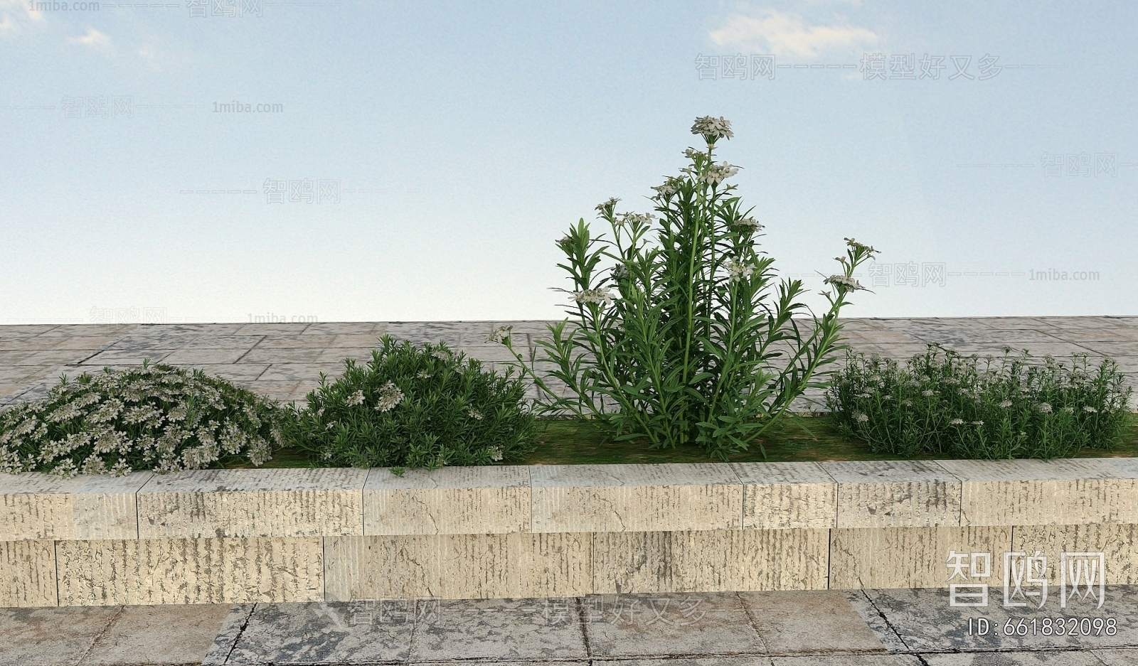 Modern Flowers And Grass