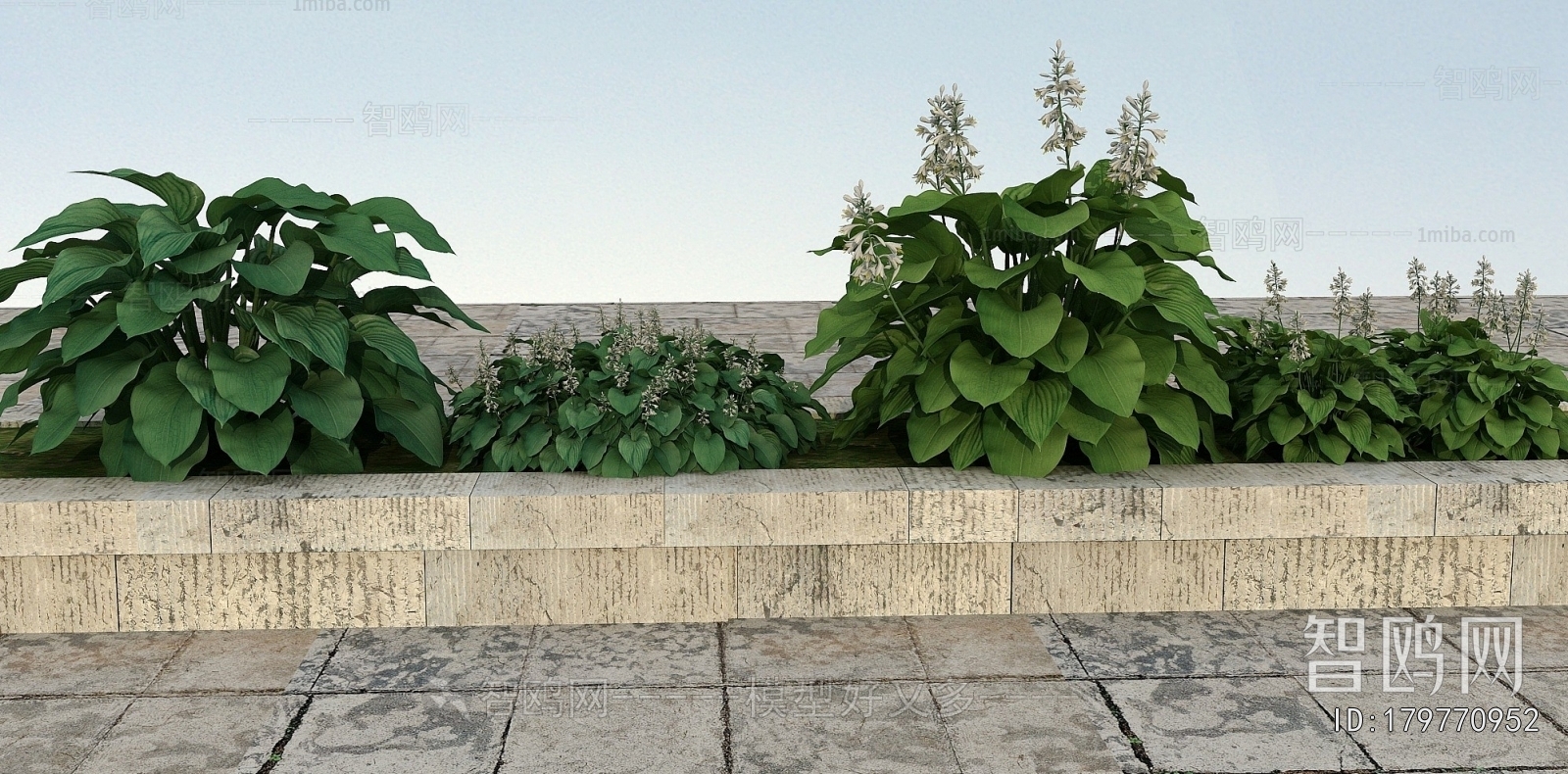 Modern Flowers And Grass