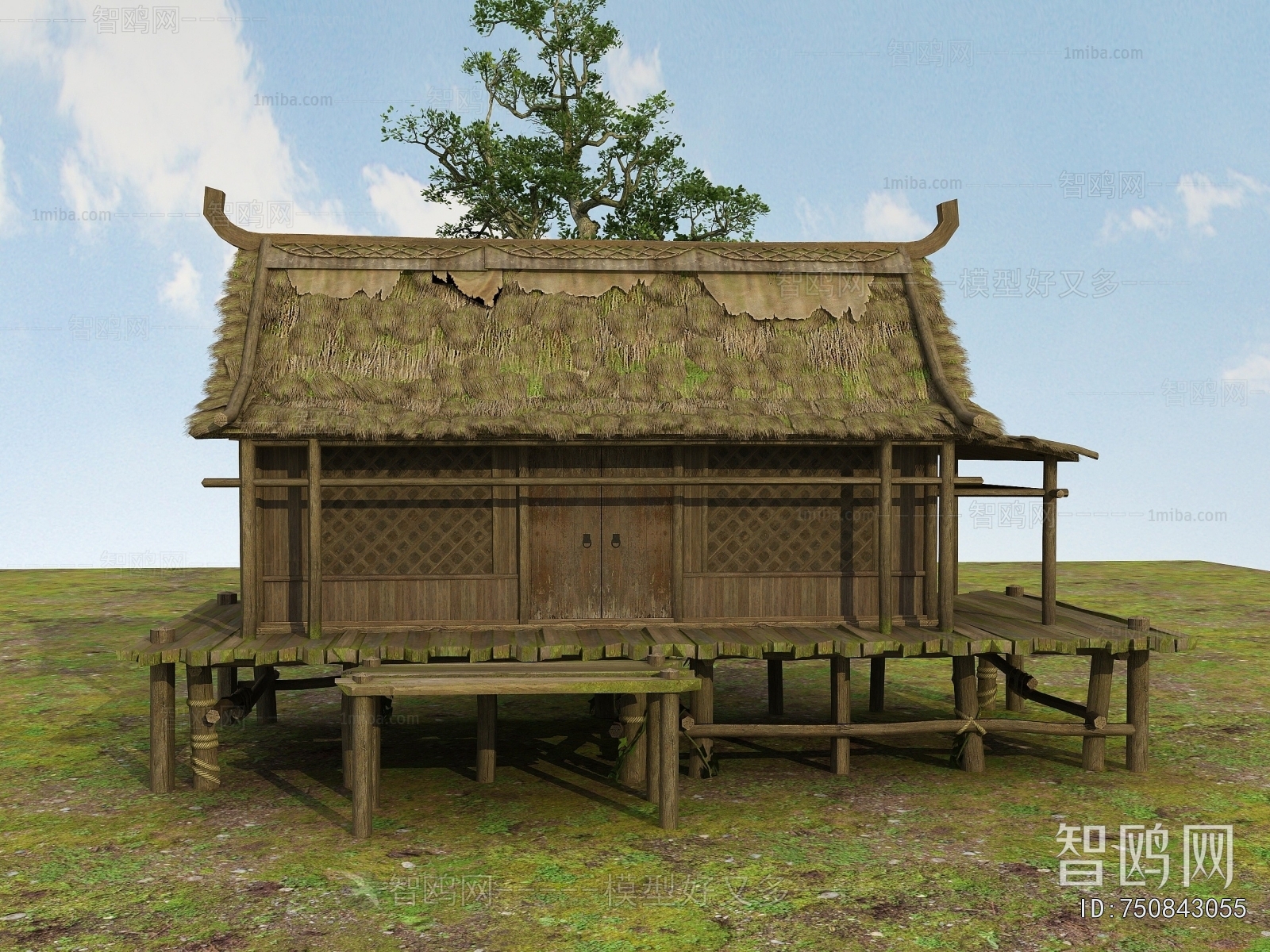 Modern Building Appearance