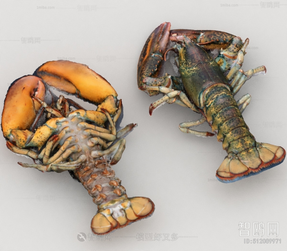 Modern Aquatic Product