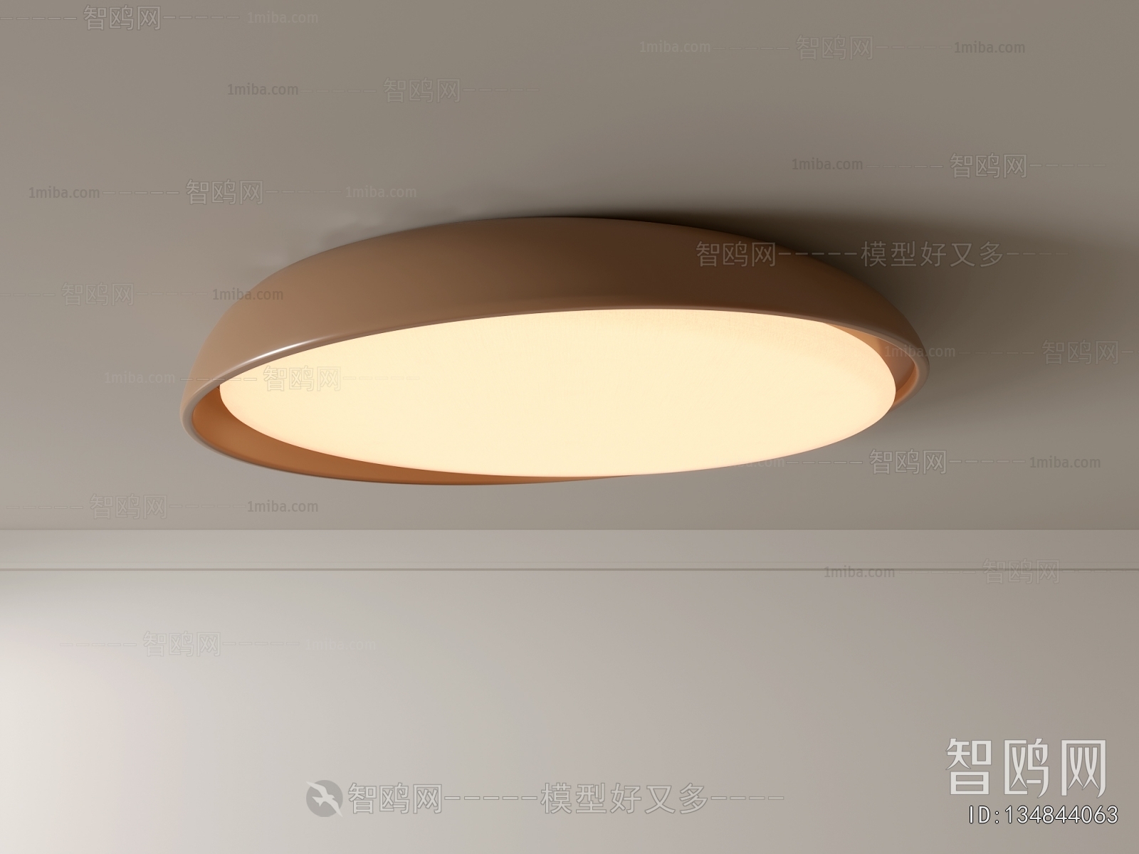 Modern Ceiling Ceiling Lamp