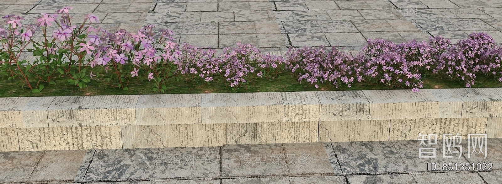 Modern Flowers And Grass