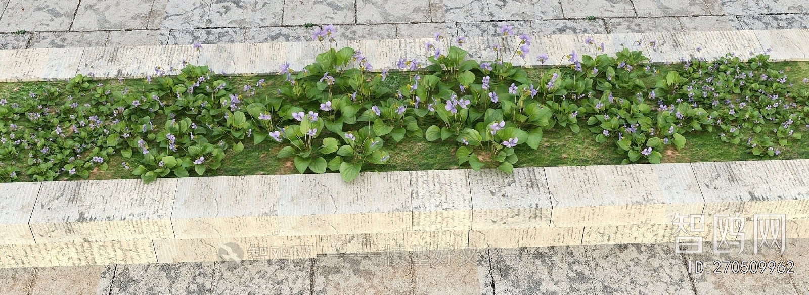 Modern Flowers And Grass