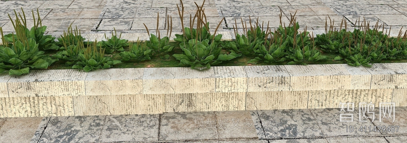 Modern Flowers And Grass