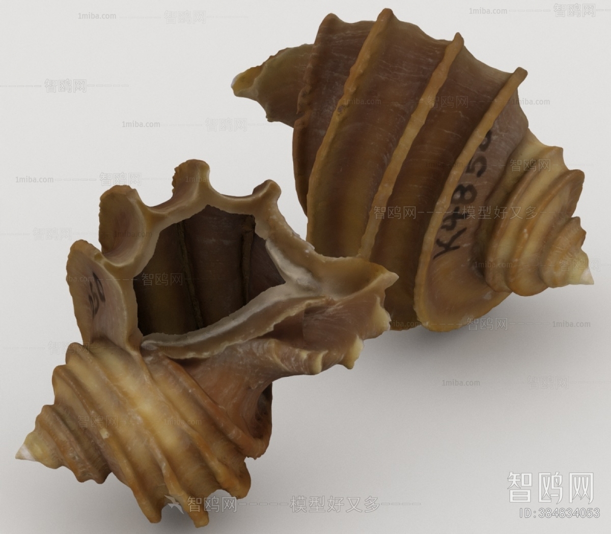 Modern Aquatic Product