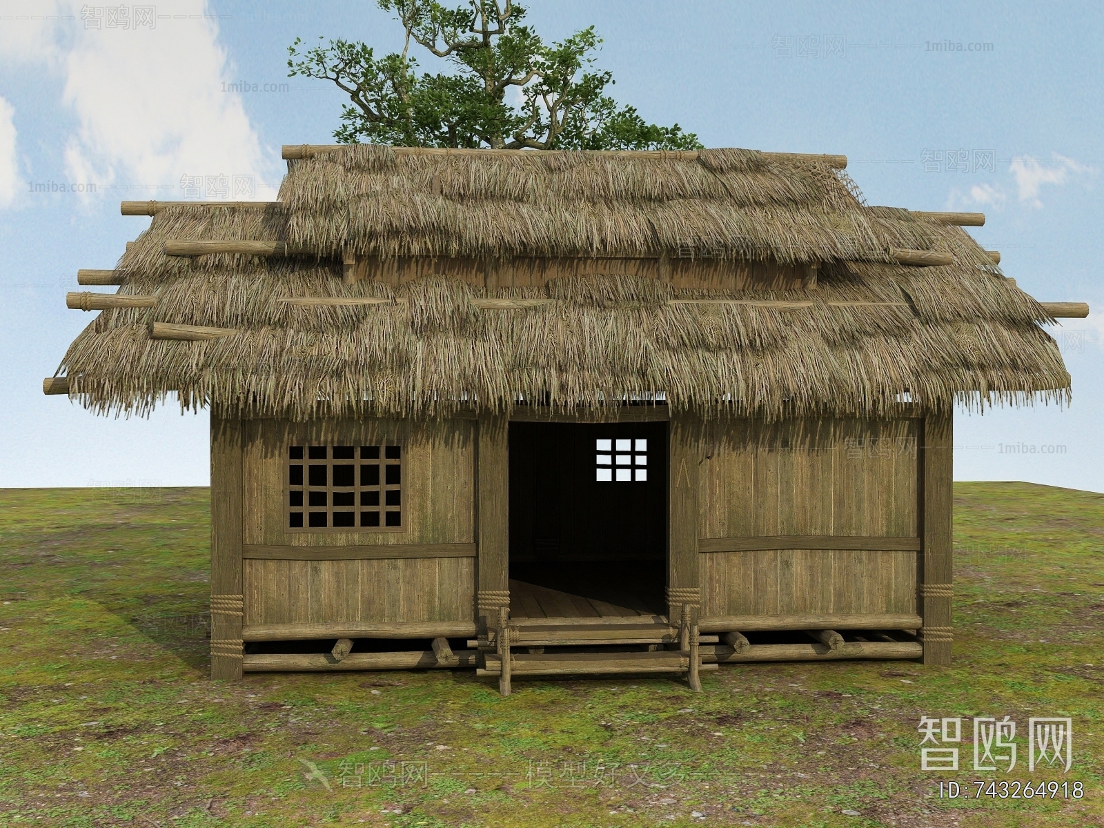 Modern Building Appearance