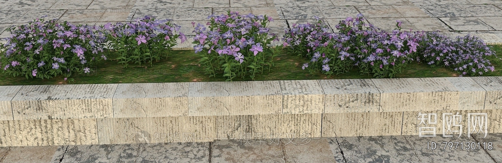 Modern Flowers And Grass