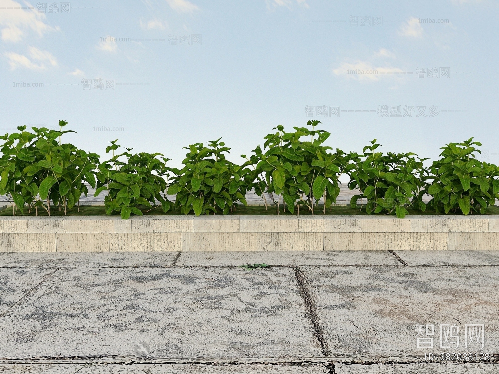 Modern Flowers And Grass