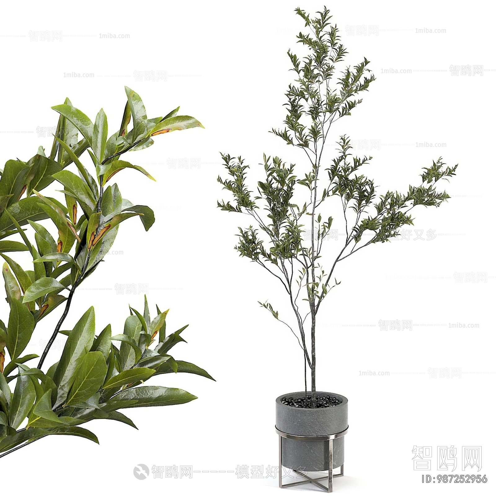 Modern Ground Green Plant Potted Plants