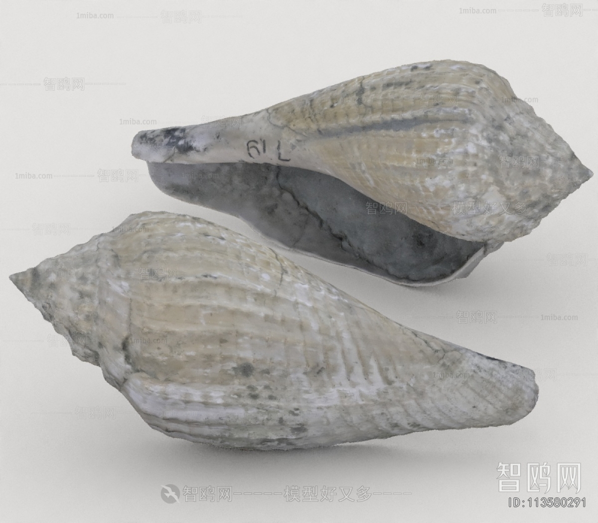 Modern Aquatic Animals