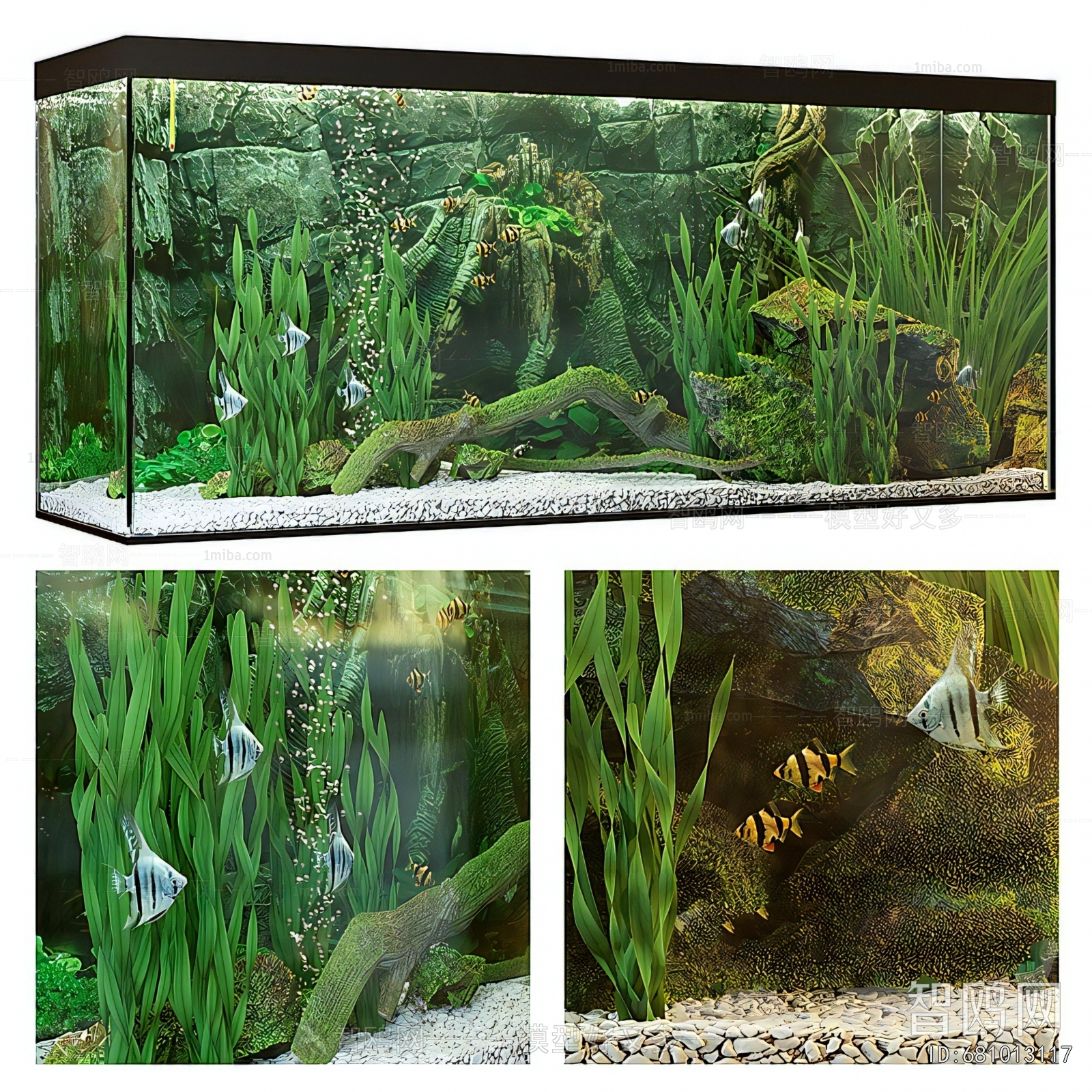 Modern Fish Tank