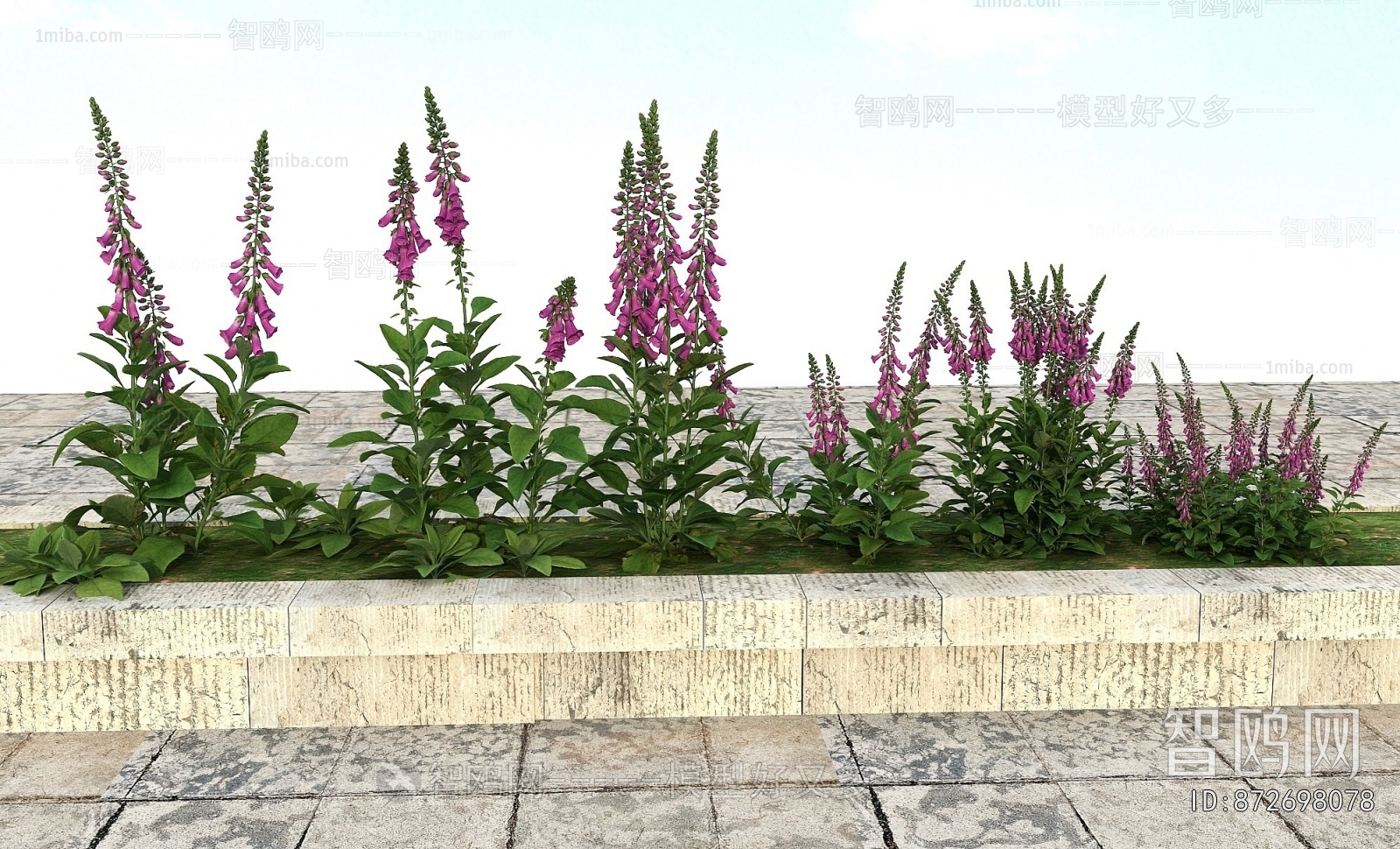 Modern Flowers And Grass