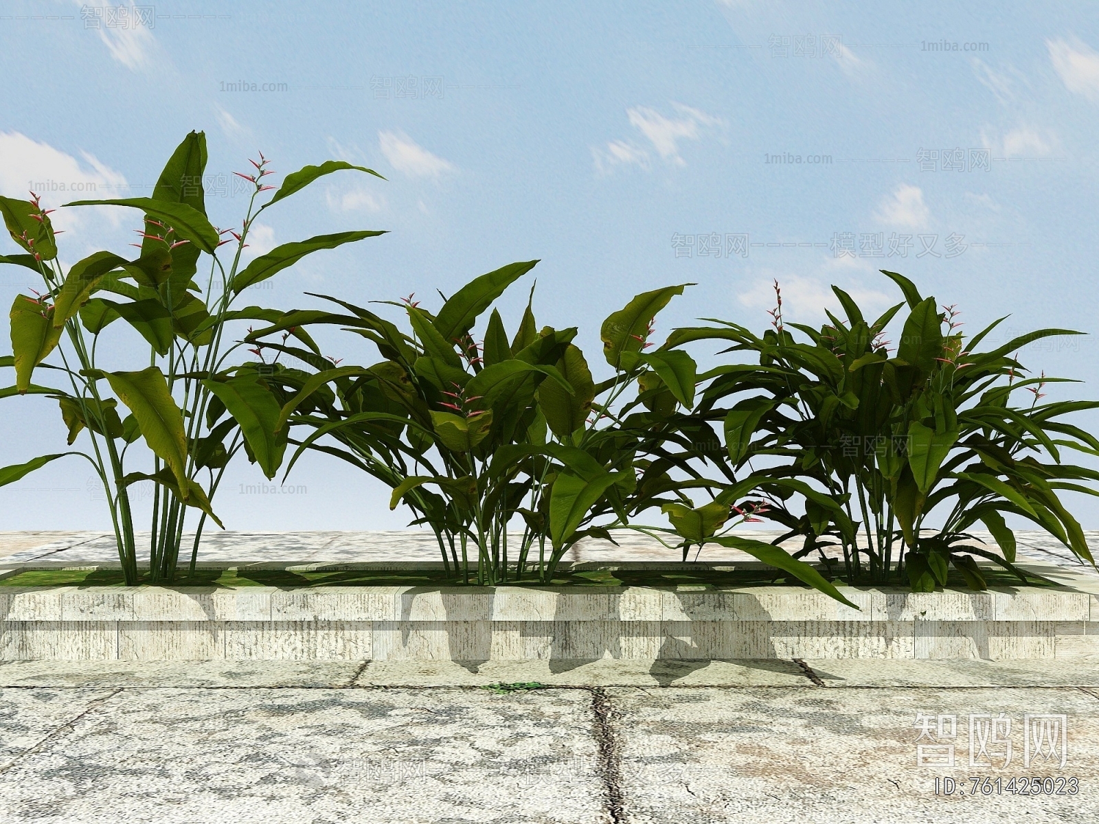 Modern Flowers And Grass