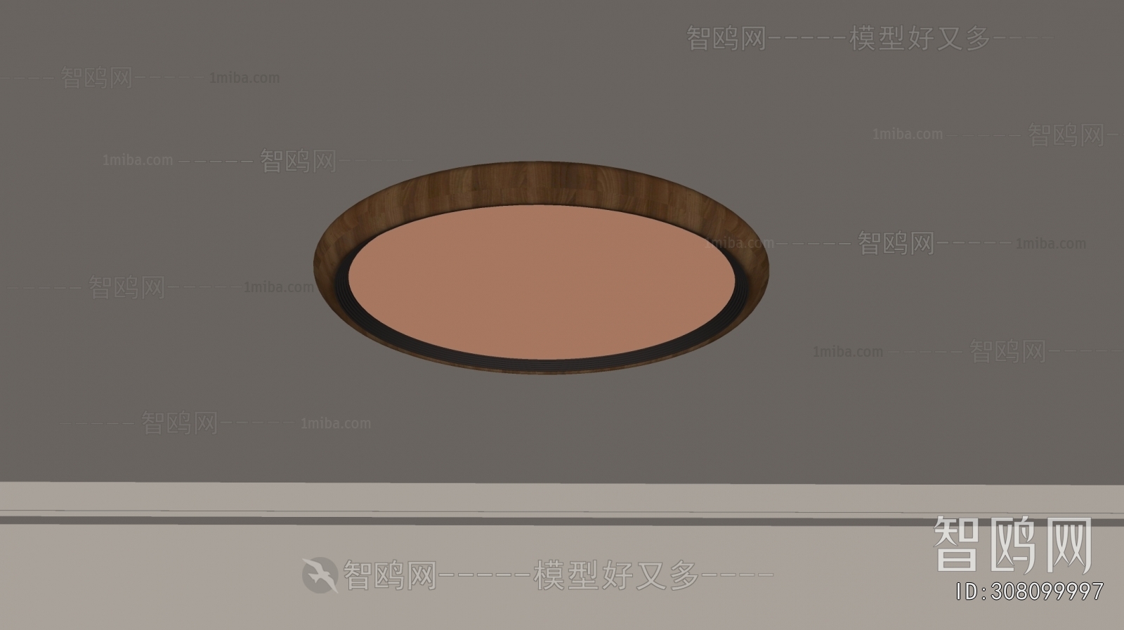 Modern Ceiling Ceiling Lamp