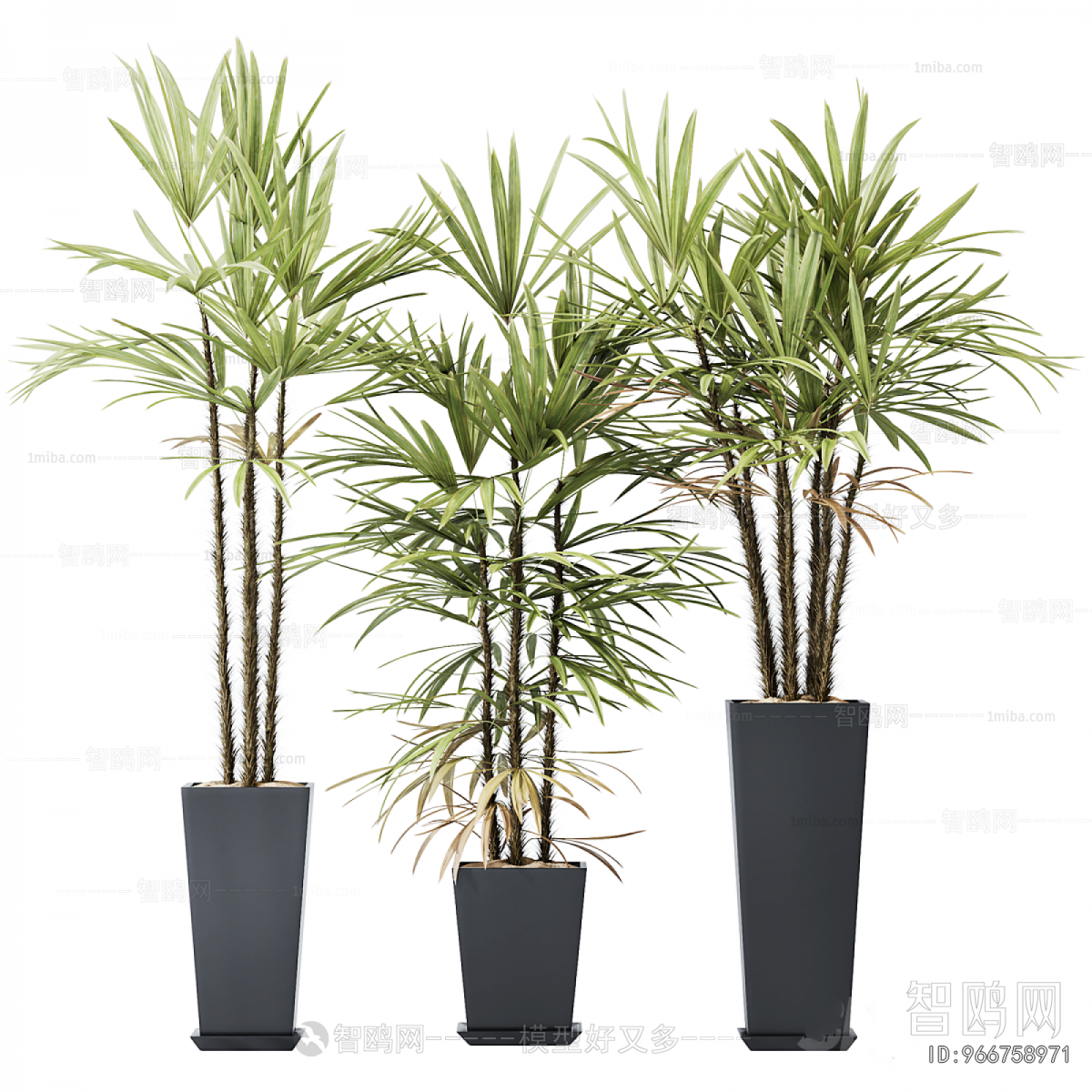 Modern Ground Green Plant Potted Plants
