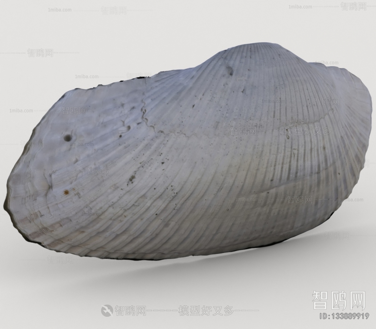 Modern Aquatic Animals